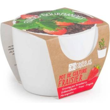 Image 1 of Radis et Capucine Бяла саксия Ягоди (029652)