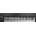 Native Instruments KOMPLETE KONTROL A61