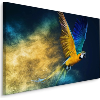 MyBestHome BOX Plátno Barevný Papoušek Ara Varianta: 100x70