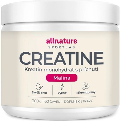 Allnature Sportlab Creatine monohydrát 300 g