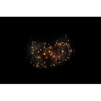 NEXOS LED osvetlenie strieborný drôt 40 LED teplá biela