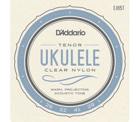 D'Addario EJ65T