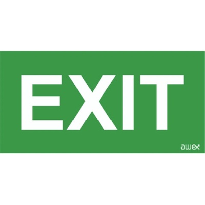 MODUS Piktogram P28 EXIT 125x250mm pro svítidlo HELIOS, HELIOS DS OZAWPIK28M