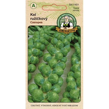 KEL ružičkový Casiopea