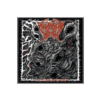 All-consuming void - Wayward Dawn LP