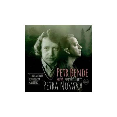 Bende Petr - Petr Bende zpívá největší hity Petra Nováka CD
