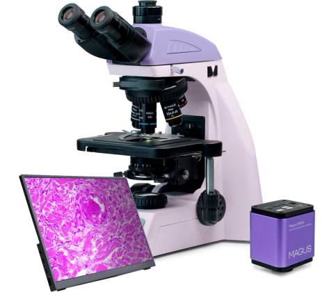 Magus Bio D260T LCD