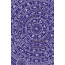 The Mortal Instruments 2: City of Ashes. Collector's Edition