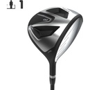 INESIS Driver Graphite