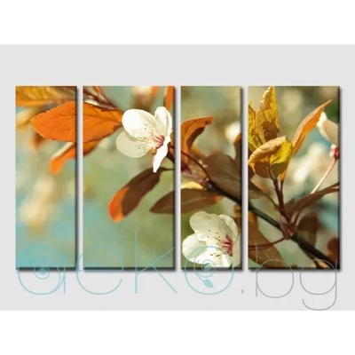 Пролетно клонче - 4 части (30041)