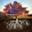 PLANT, ROBERT - DIGGING DEEP: SUBTERRANEA CD