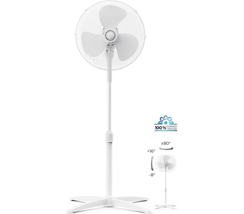 Home FN-C300W