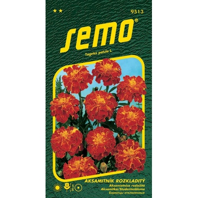 Semo Aksamitník rozkladitý - Carmen 1g