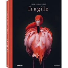 Fragile - Jarque Krebs