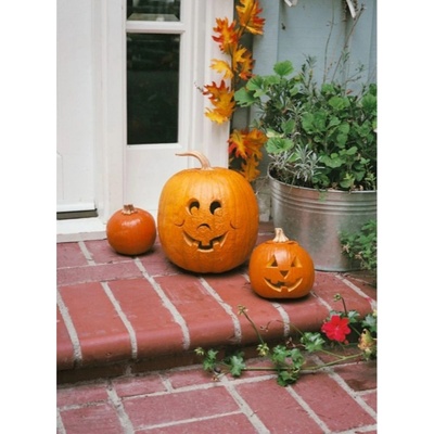 Tekvica plazivá Tom Fox