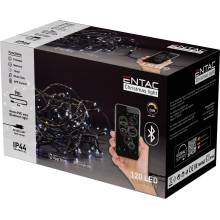 Entac ECL-BT-120WW