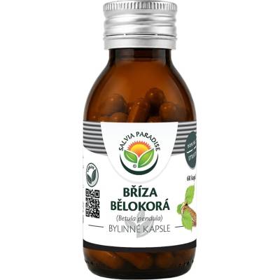 Salvia Paradise Bříza bělokorá kapsle 60 ks