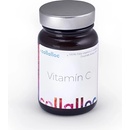 Collalloc Vitamín C 60 g