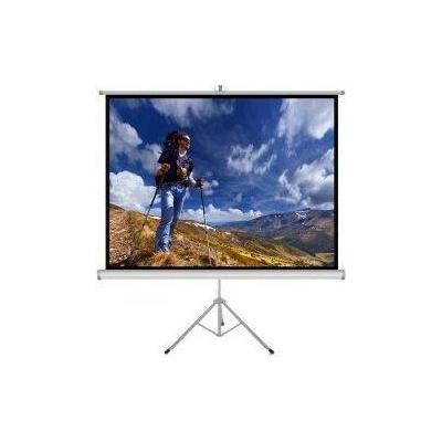 Ekran 4:3 84" 170x127cm TS-84