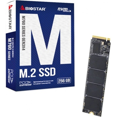 BIOSTAR M760 256GB (M760-256GB)