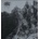 DARKTHRONE: TOTAL DEATH LP