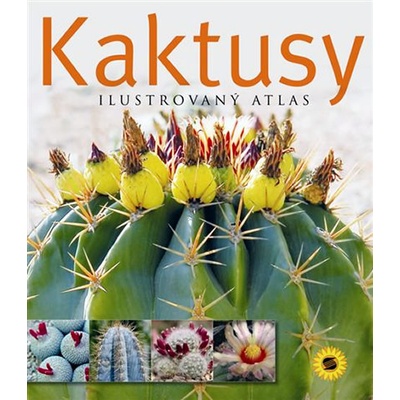 Kaktusy Atlas