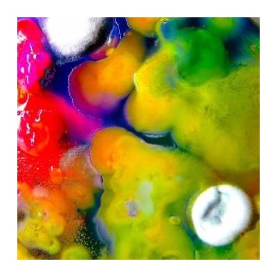 Guerilla Toss - Famously Alive LP