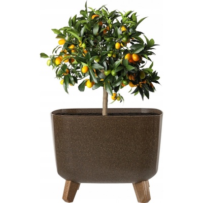 Prosperplast Květináč 29 x 29 x 22 cm plast béžový