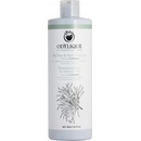 Odylique Čistící šampon proti lupům s kopřivou přesličkou a tea tree olejem 200 ml