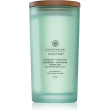 Chesapeake Bay Candle Chesapeake Bay Balance + Harmony 354 g