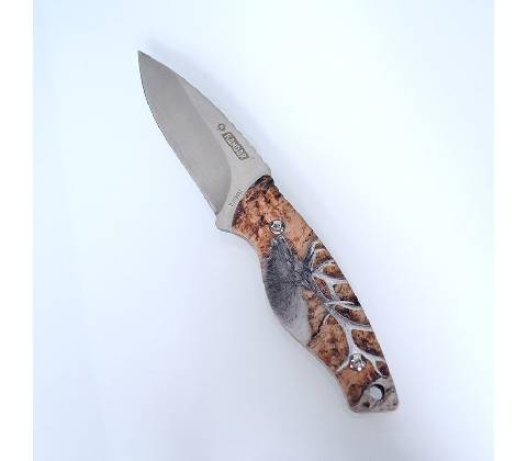 Kandar Jeleň B112