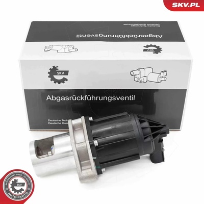 ESEN SKV AGR ventil ESN 14SKV284