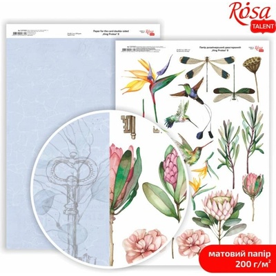 Scrapbookingové papíry King Protea A4 - No. 8