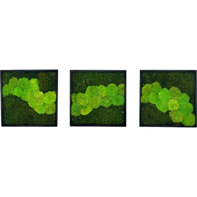 Mechové obrazy TRIO Q Velikost: 30x30cm
