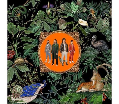 Amazing Things - Don Broco CD