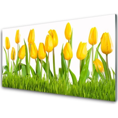 Obraz na skle Tulipány 100x50 cm