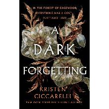 A Dark Forgetting