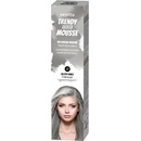 Venita trendy barevné pěnové tužidlo na vlasy 11 stříbrný prach