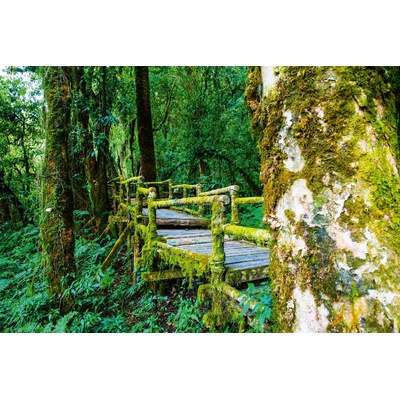 DIMEX ART Флизелинов фототапет национален парк в тайланд 375 x 250 см