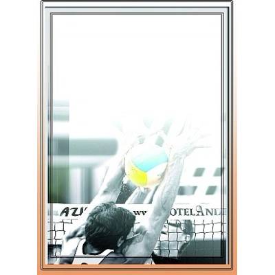 diplom 81