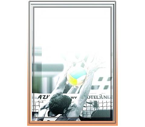 diplom 81