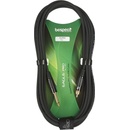 Bespeco EAJR500