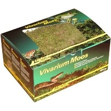 Lucky Reptile Vivarium Moss 150 g