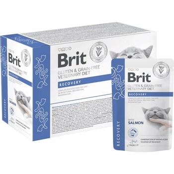 Brit Veterinary Recovery pouch 12x85 g