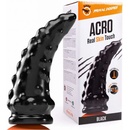 Dinoo Primal Acro