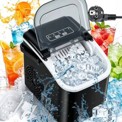 LIN ICE PRO-B12