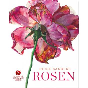 Rosen | Rosie Sanders