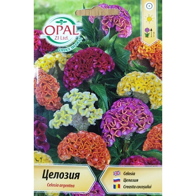 Opal Zi Целозия микс (Петльов гребен)