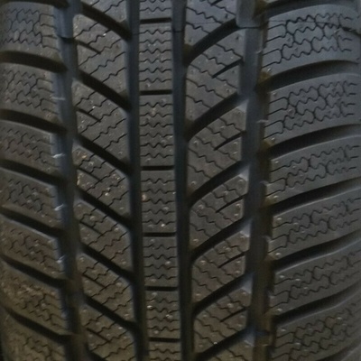 Evergreen EW62 175/65 R14 82H