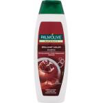 Palmolive Шампоан 350мл - Brilliant color (166-3)